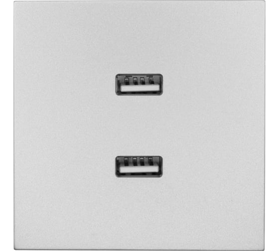 Розетка 2-ая USB разъем Lezard ZIMA серый матовый 704-7488-192