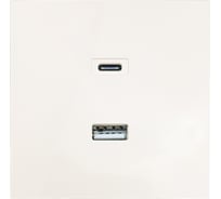 Розетка Lezard ZIMA TC+ USB разъем, слоновая кость 704-9088-192TC