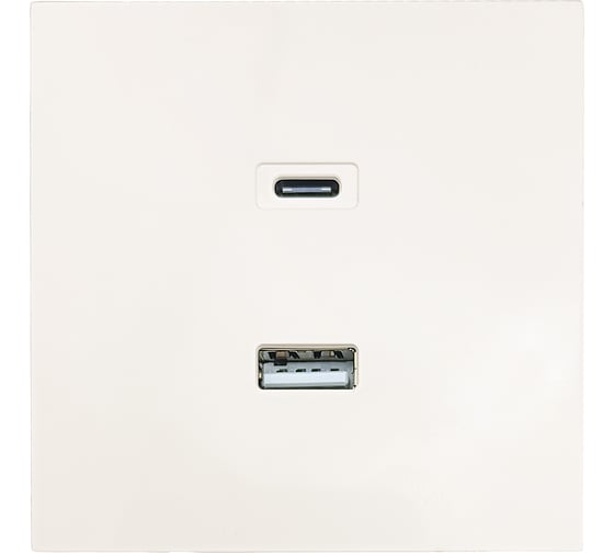 Розетка Lezard ZIMA TC+ USB разъем, слоновая кость 704-9088-192TC