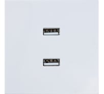 Розетка 2-ая USB разъем Lezard ZIMA белая 704-0288-192