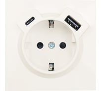 Розетка Lezard ZIMA с заземлением TC + USB разъем, слоновая кость 704-9088-181TC