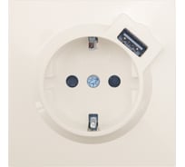 Розетка Lezard ZIMA с заземлением + USB разъем, слоновая кость 704-9088-181