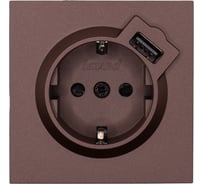 Розетка Lezard ZIMA с заземлением + USB разъем, шоколад 704-7388-181