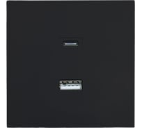 Розетка Lezard ZIMA TC+ USB разъем, черный бархат 704-4288-192TC