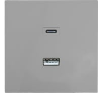 Розетка Lezard ZIMA TC+ USB разъем, серый матовый 704-7488-192TC