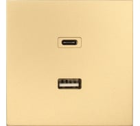 Розетка Lezard ZIMA TC+ USB разъем, золото 704-3688-192TC