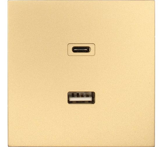 Розетка Lezard ZIMA TC+ USB разъем, золото 704-3688-192TC