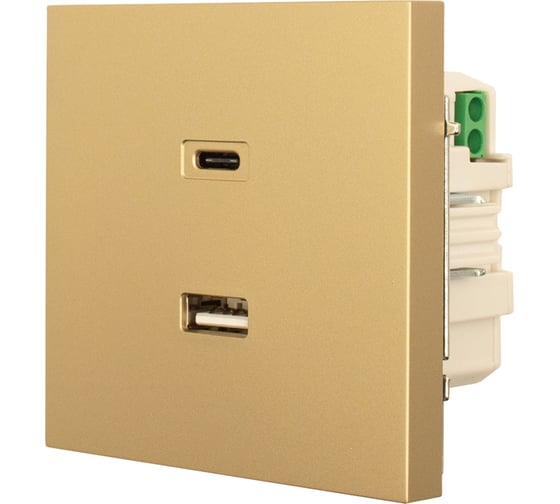 Розетка Lezard ZIMA TC+ USB разъем, золото 704-3688-192TC