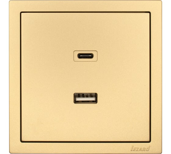 Розетка Lezard ZIMA TC+ USB разъем, золото 704-3688-192TC