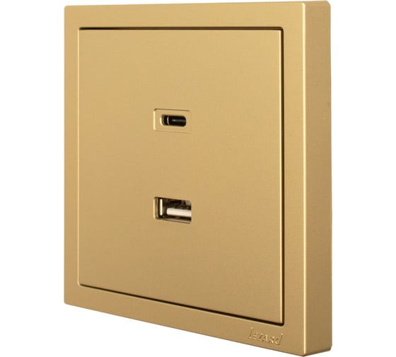 Розетка Lezard ZIMA TC+ USB разъем, золото 704-3688-192TC