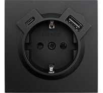Розетка Lezard ZIMA с заземлением TC + USB разъем, черный бархат 704-4288-181TC