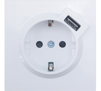 Розетка Lezard ZIMA с заземлением + USB разъем, белая 704-0288-181