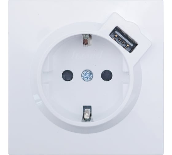 Розетка Lezard ZIMA с заземлением + USB разъем, белая 704-0288-181 1