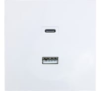 Розетка Lezard ZIMA TC+ USB разъем, белая 704-0288-192TC