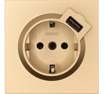 Розетка Lezard ZIMA с заземлением + USB разъем, золото 704-3688-181