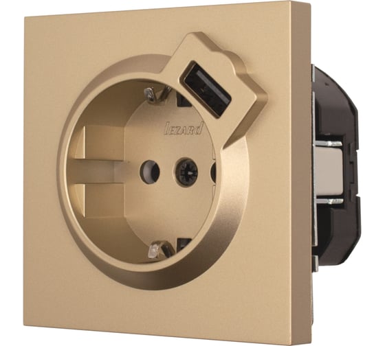 Розетка Lezard ZIMA с заземлением + USB разъем, золото 704-3688-181