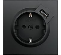 Розетка Lezard ZIMA с заземлением + USB разъем, черный бархат 704-4288-181