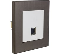 Розетка компьютерная Luxar Mosaic с/у RJ-45 белая/титан с рамкой (20.045.01) 4606400430377