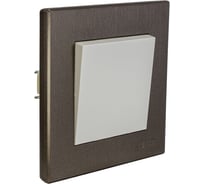 Выключатель Luxar Mosaic с/у 1-кл. белый/титан с рамкой, 250В 10А (20.001.01) 4606400430322
