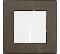 Выключатель Luxar Mosaic с/у 2-кл. белый/титан с рамкой, 250В 10А (20.011.01) 4606400430339