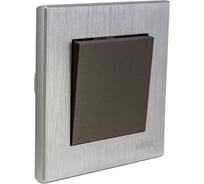 Выключатель Luxar Mosaic с/у 1-кл. титан/серебро с рамкой, 250В 10А (20.001.05) 4606400430537