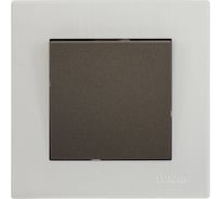 Выключатель Luxar Mosaic с/у 1-кл. титан/белый с рамкой, 250В 10А (20.001.04) 4606400430391