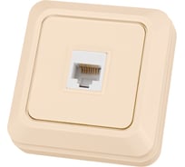 Розетка компьютерная TDM ELECTRIC (RJ-45) открытой установки IP20, сл. кость Ладога SQ1801-0117