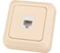 Розетка компьютерная TDM ELECTRIC (RJ-45) открытой установки IP20, сл. кость Ладога SQ1801-0117 1