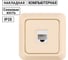 Розетка компьютерная TDM ELECTRIC (RJ-45) открытой установки IP20, сл. кость Ладога SQ1801-0117 2