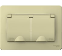 2-местная розетка Systeme Electric скрытой проводки Blanca 16А IP44 250В с заземлением бежевая BLNRS441127