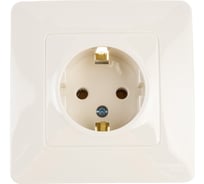 1-местная розетка Systeme Electric скрытой проводки Blanca 16А IP20 250В с заземлением без защитных шторок бежевый BLNRS001017