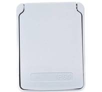 Бытовая розетка Systeme Electric 16А 220В 2P+T для Kedra IP65 81141