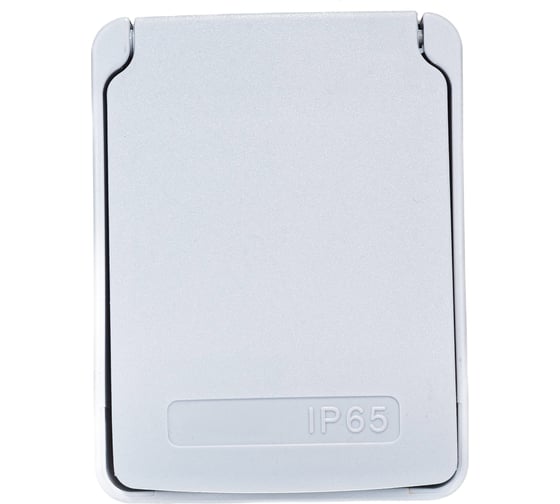 Бытовая розетка Systeme Electric 16А 220В 2P+T для Kedra IP65 81141