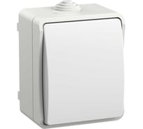 Выключатель IEK FORS кноп. о/у IP54 ВСк20-1-0-ФБ бел. EVS13-K01-10-54-DC