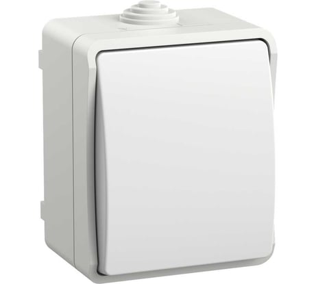 Выключатель IEK FORS кноп. о/у IP54 ВСк20-1-0-ФБ бел. EVS13-K01-10-54-DC