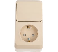 Блок 1-местная розетка + 1-клавишный выключатель Systeme Electric открытой проводки Этюд с заземлением защитные шторки кремовый BPA16-201K