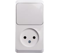 Блок 1-местная розетка + 1-клавишный выключатель Systeme Electric открытой проводки Этюд без заземления белый BPA16-204B