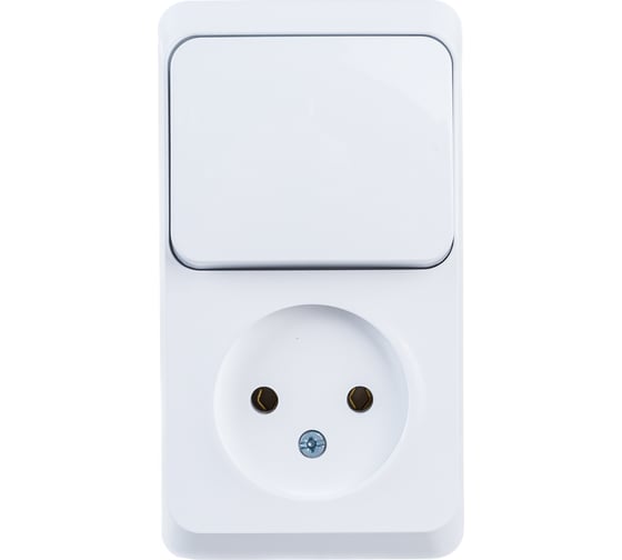 Блок 1-местная розетка + 1-клавишный выключатель Systeme Electric открытой проводки Этюд без заземления белый BPA16-204B