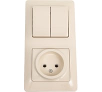 Комбинированный блок розетка + 2-клавишный выключатель Systeme Electric GLOSSA бежевый GSL000272
