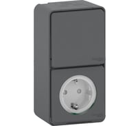 Блок розетка+переключатель Systeme Electric открытой проводки Mureva IP55 антрацит MUR36024