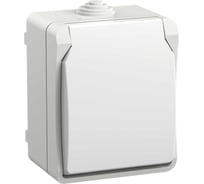 Розетка IEK FORS с з/к/ш о/у 16А IP54 РСб20-3-ФБ, белый ERS12-K01-16-54-DC
