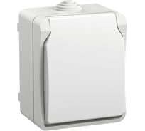 Розетка IEK FORS с з/к/ш о/у 16А IP54 РСб20-3-ФБ, белый ERS12-K01-16-54-DC