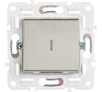 Выключатель 1-клавишный IEK SKANDY с инд. 10А SK-V07N никель SK-V10-1-10-K50