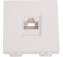 Розетка информационная Systeme Electric "В45" С/У КАТ.5Е для кабель-канала БЕЛЫЙ RIN-144K5E-B