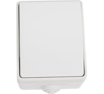 Выключатель IEK FORS 1-клавишный проходной о/у IP54 ВС20-1-0-ФБ бел. EVS10-K01-10-54-DC