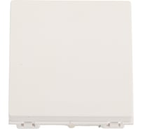 Переключатель Systeme Electric В45 СУ 1-клавишный, для кабель-канала, белый RAL9010 VN6U-143-BE