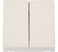 Выключатель Systeme Electric В45 СУ 2клавишный для кабель-канала, белый RAL9010 VN5U-242-BE