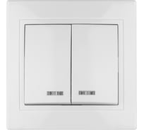 Выключатель 2-клавишный TDM ELECTRIC с подсветкой, 10А, белый, Таймыр, пром. упак. 200 шт. SQ1814-0505