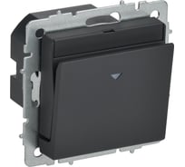 Выключатель карточный IEK BRITE 30А ВС10-1-8-БрГ графит BR-V11-0-10-K53
