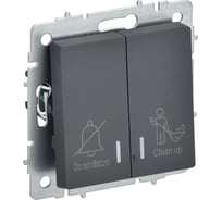 Выключатель 2-клавишный IEK BRITE с индикацией, для отелей, 10А, ВС10-2-9-БрГ графит BR-V20-2-10-K53